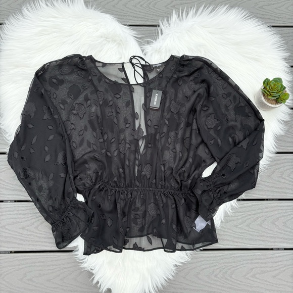Express Black Sheer Blouse - Picture 1 of 3